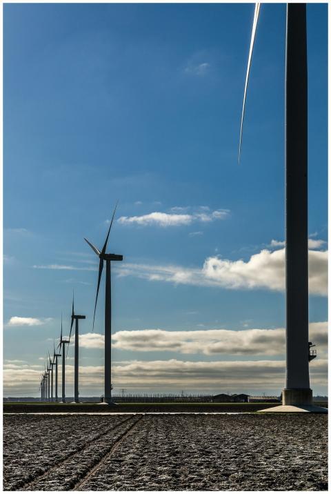 Wind turbines in a rural field harnessing renewabl