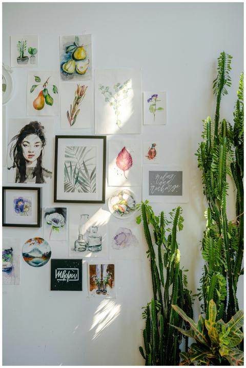 A curated collection of framed illustrations and p