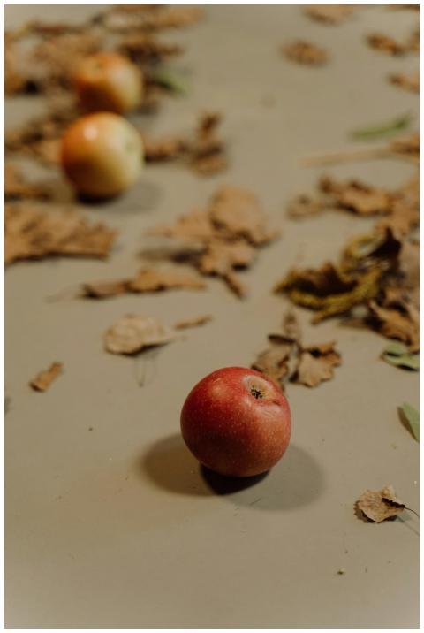 Three apples on a floor surrounded by autumn leave