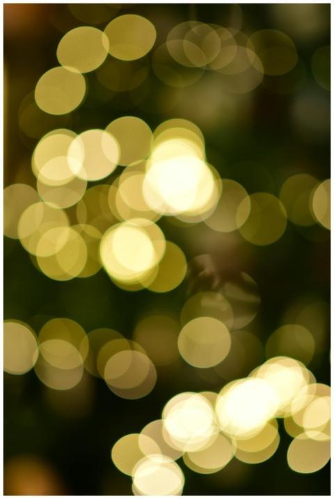Golden bokeh lights create an abstract and festive