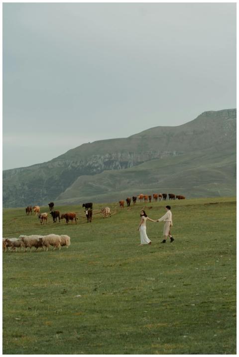 Couple holding hands in a scenic field with livest