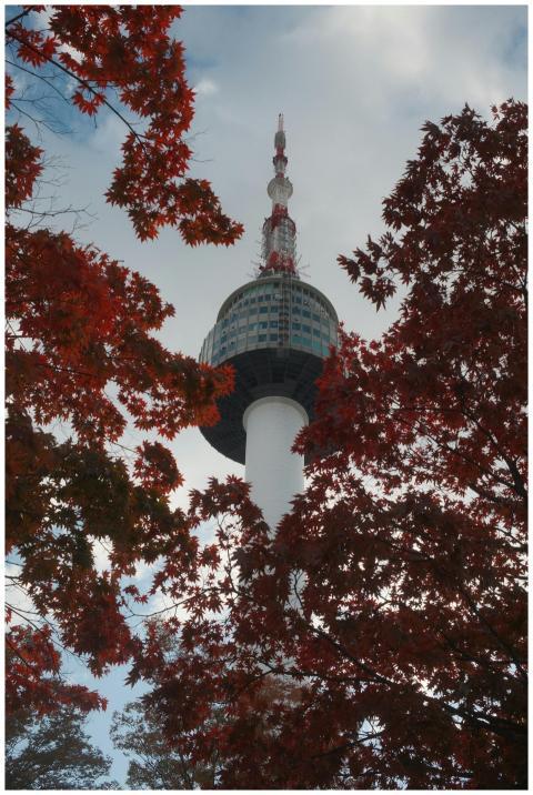 Free stock photo of architecture, korea, seoul