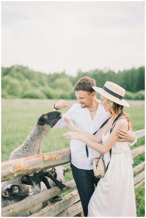 A couple enjoying a sunny day feeding sheep at a r