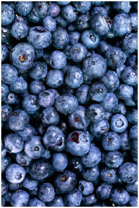 Close-up of fresh, juicy blueberries, showcasing t