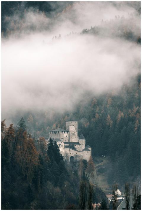 Misty Castle Forested Mountain