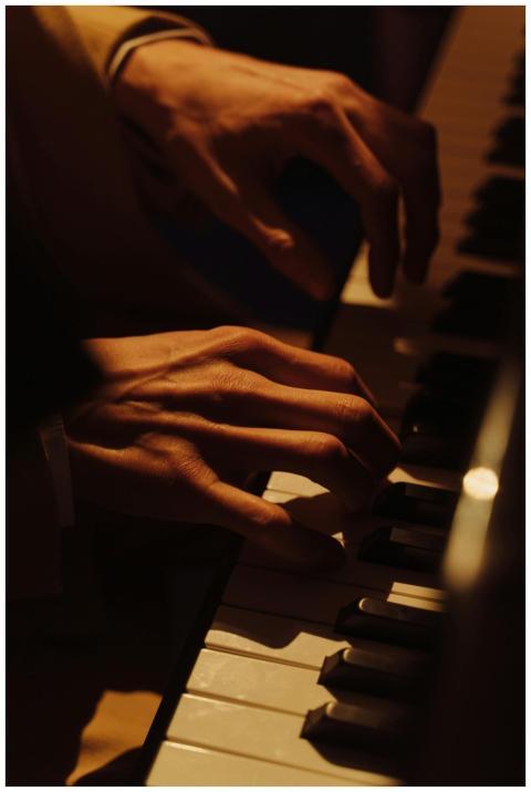 Close-up of a musician's hands gracefully playing