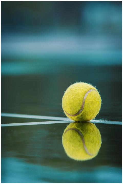 Close-up of a tennis ball reflecting on a wet cour