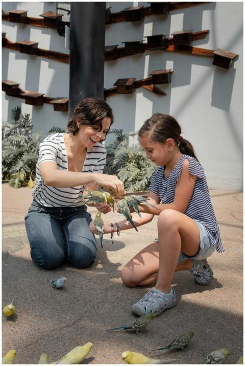 A joyful moment as a mother and daughter feed bird