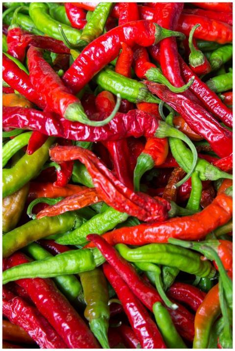 Close-up of vibrant red and green chilies showcasi