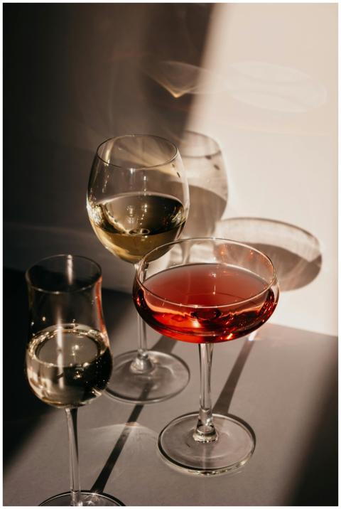 Diverse wine glasses casting shadows in warm sunli