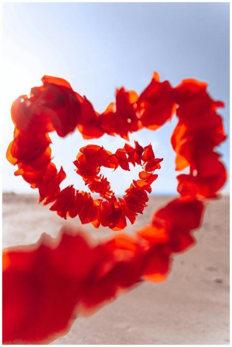Vivid heart-shaped garland of red petals against a