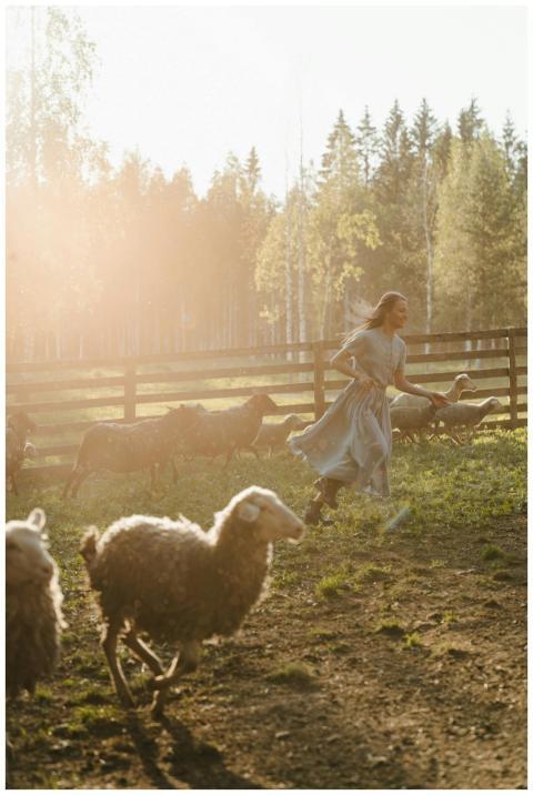 A girl happily runs alongside sheep in a sunlit fa