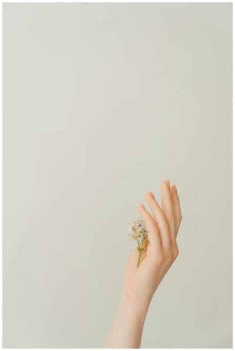 A minimalist image of a hand holding a small white