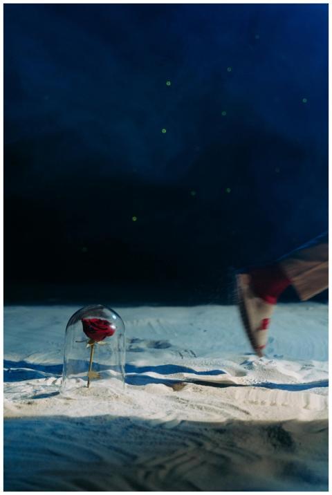 A red rose under a glass dome on sand with a foot