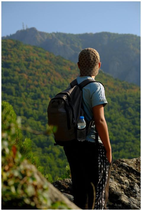 A young hiker standing on a rock, overlooking lush