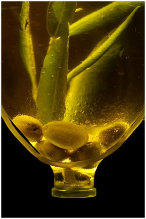 A close-up shot of olives and leaves immersed in g