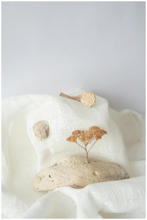 A serene arrangement of natural objects on a textu