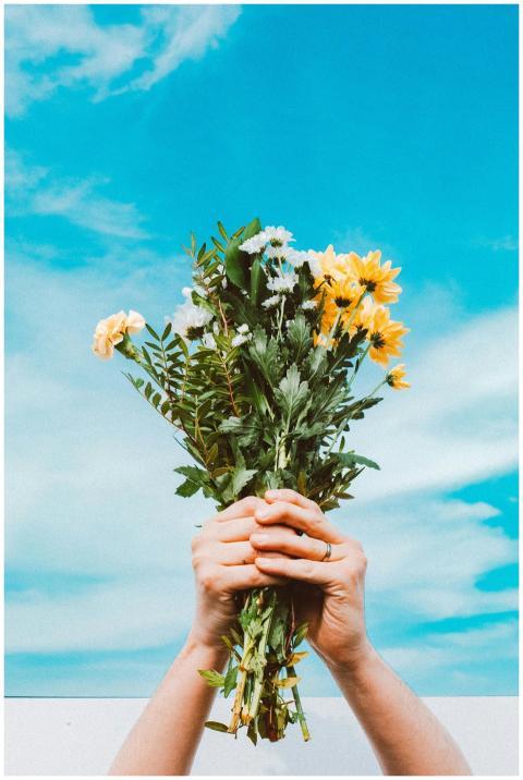 Hands holding a colorful flower bouquet beneath a