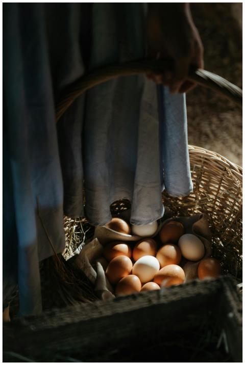 Close-up of a wicker basket filled with fresh farm