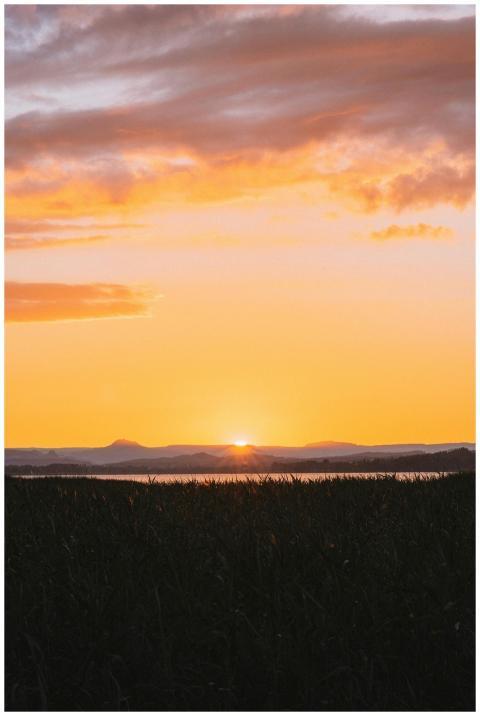 Stunning sunrise view with vibrant sky above a pea