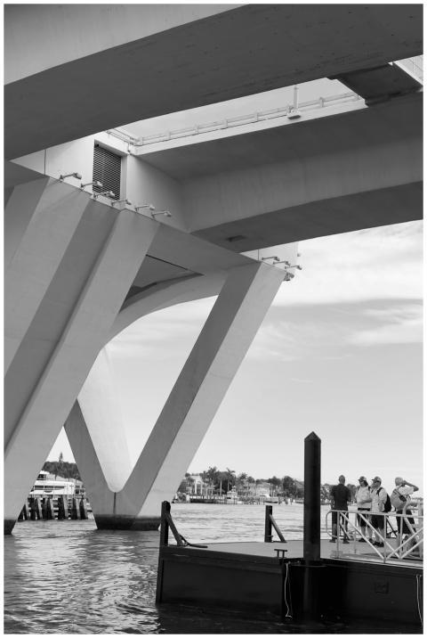 Modern Bridge Tourists Waterfront