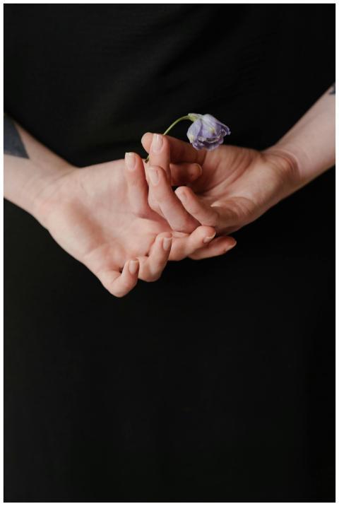 A pair of hands gently holding a single purple flo