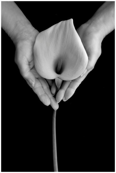 A black and white photo of hands gently cradling a