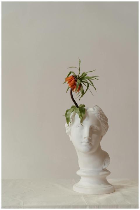 Artistic sculpture of a head bust with a vibrant f