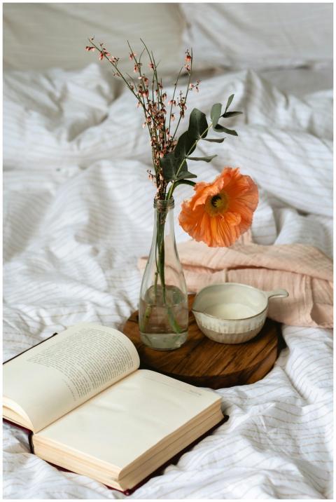 Relaxing scene with book and blooming flower on be