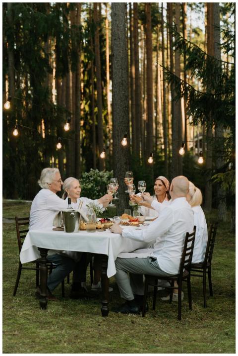 A group of friends toasting in a cheerful outdoor