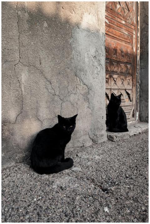 Two black cats sitting by an old wooden door in Ye