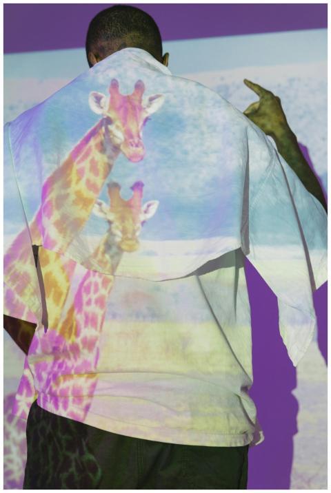 Creative studio shot of a man with giraffe project