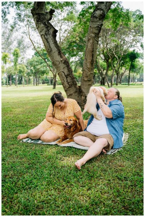 A joyful couple sitting on grass with their dogs i