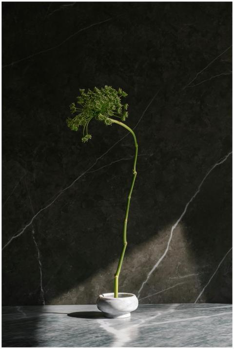 A single green stem in a vase on a marble surface,