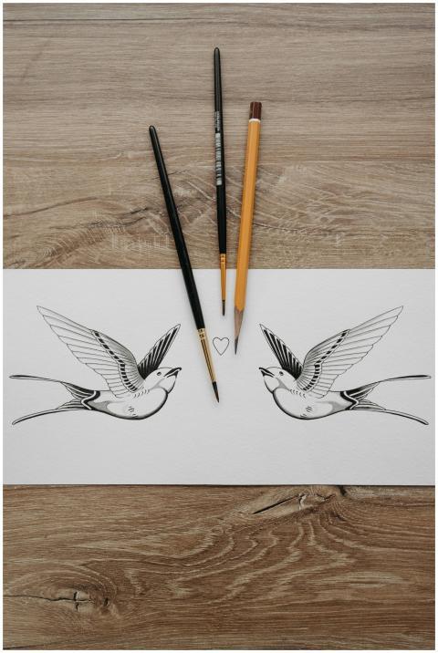 Detailed bird illustrations with art tools on a wo