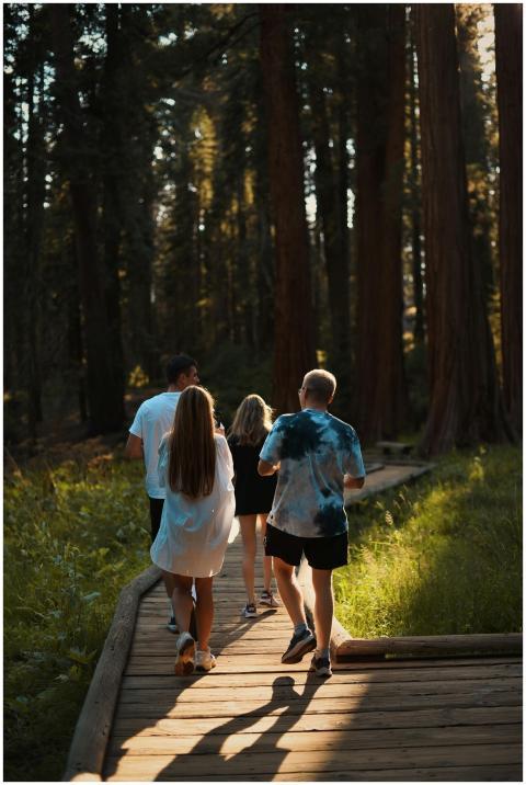 A group of adults enjoying a walk in a sunlit fore
