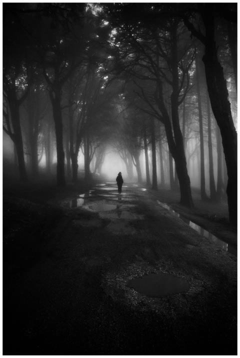 A lone figure walks along a misty forest pathway,