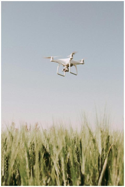A white drone flying over a lush green wheat field