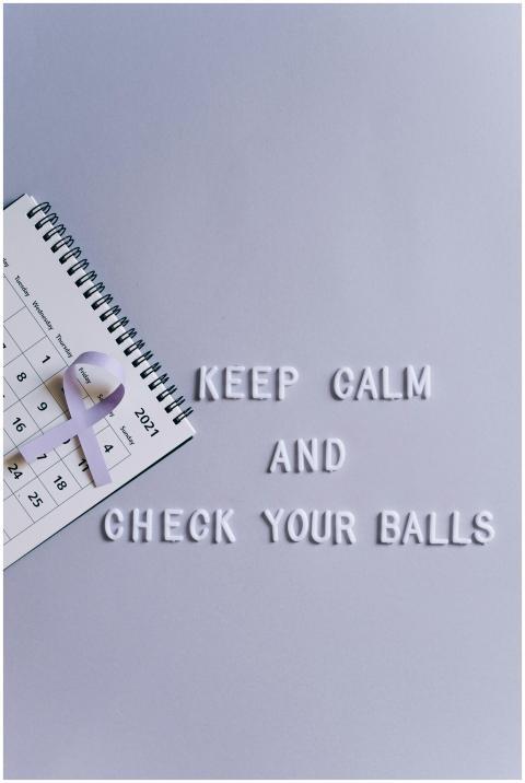 Vertical shot of a calendar and quote promoting te
