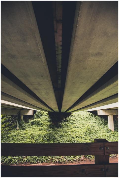 Free stock photo of 4k, 4k nature background, abst