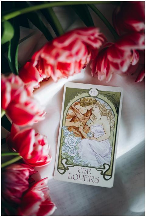 The Lovers tarot card among vibrant pink tulips sy