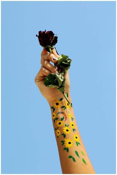 A hand holds a red rose with a creatively painted