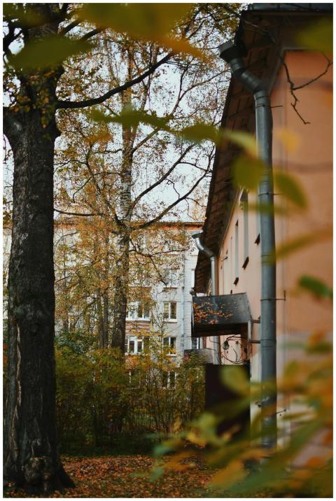 Rustic building and colorful autumn leaves create