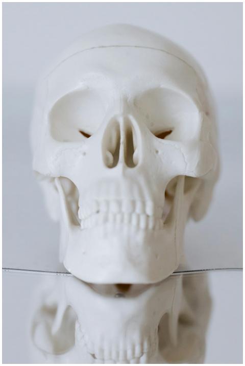 Detailed close-up of a human skull reflected on a