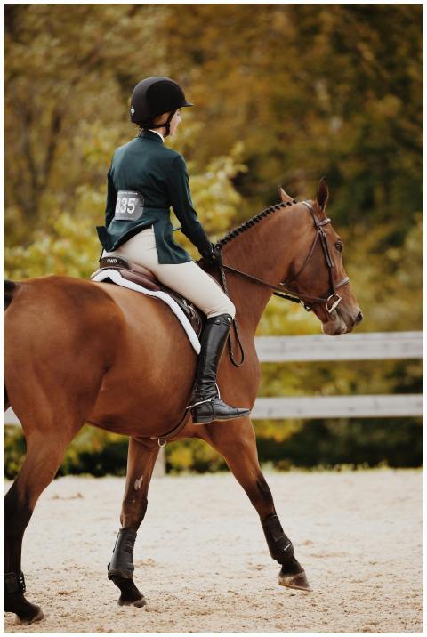 A skilled equestrian rider competes in an outdoor