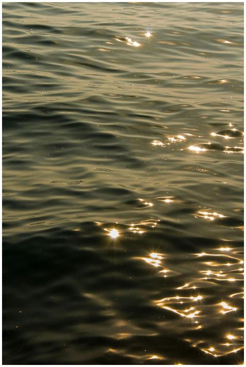 A mesmerizing view of golden sunlight dancing on t