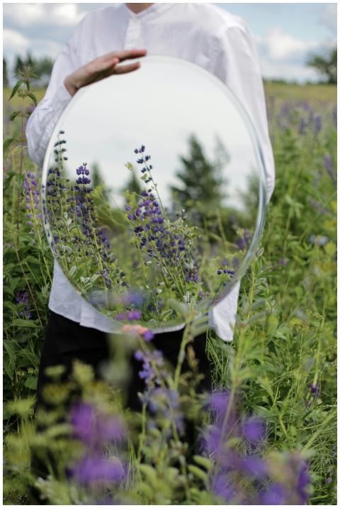 A man holding a round mirror reflecting lupine flo