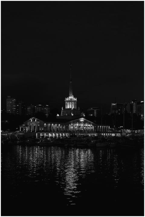 A stunning black and white cityscape showcasing a