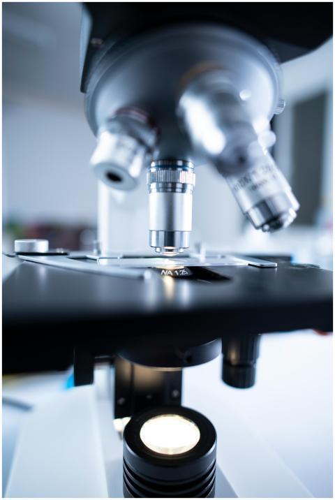 Detailed view of a laboratory microscope focusing