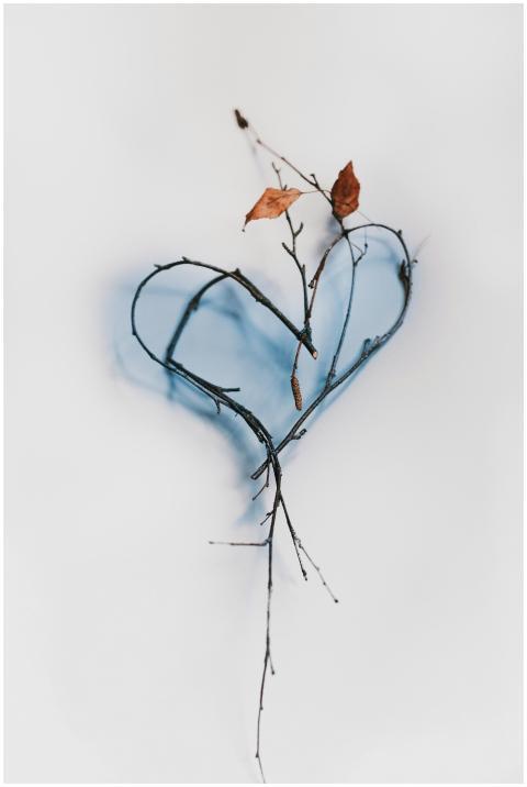 Heart-shaped twigs and branches with dry leaves on